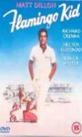 Flamingo Kid