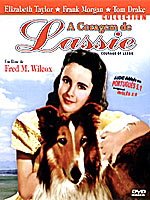 A Coragem de Lassie