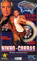 Ninho De Cobras