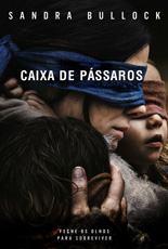 Caixa De Pássaros