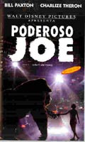Poderoso Joe